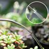Stainless Tube Long Mouthed Watering Kettle 2L Garden Tool Watering Can  Garden Supplies
