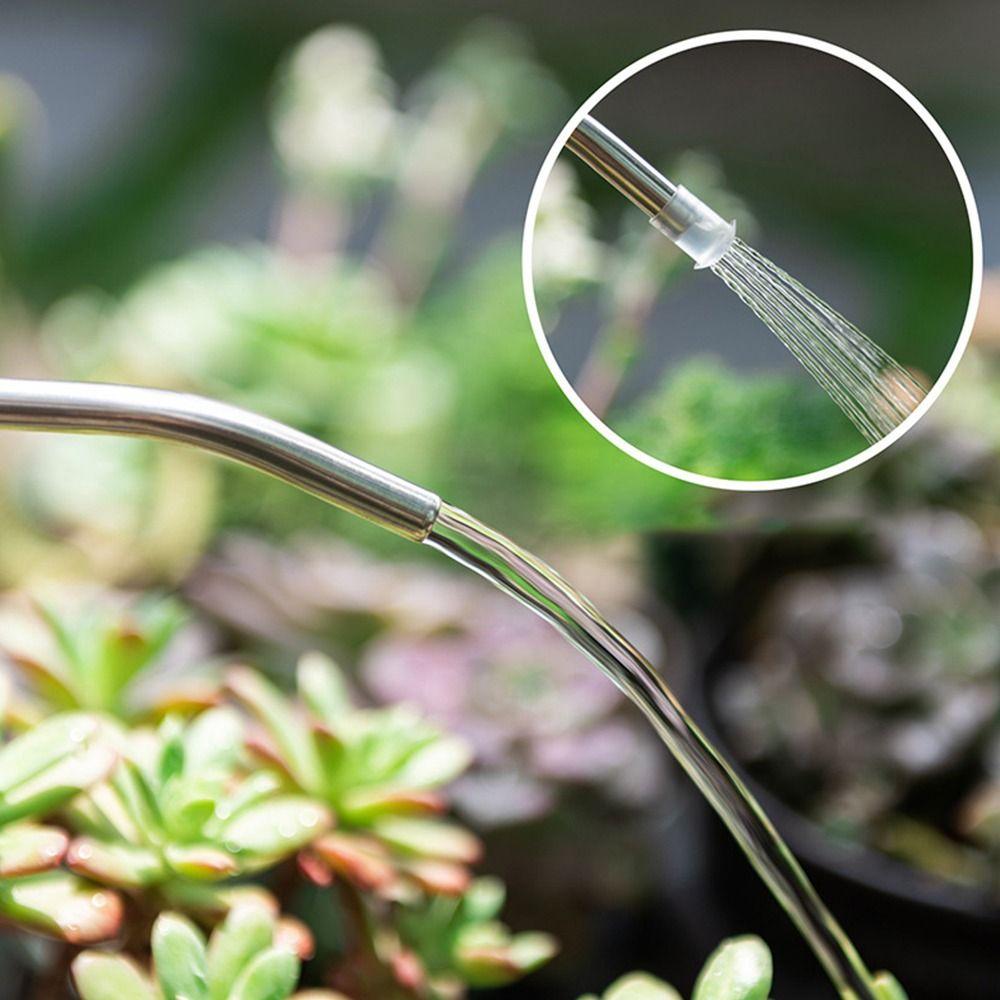 Stainless Tube Long Mouthed Watering Kettle 2L Garden Tool Watering Can Garden Supplies