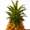 Artificial Pineapple Figurine Fruit Decorative Crafts for Children Education Bedroom