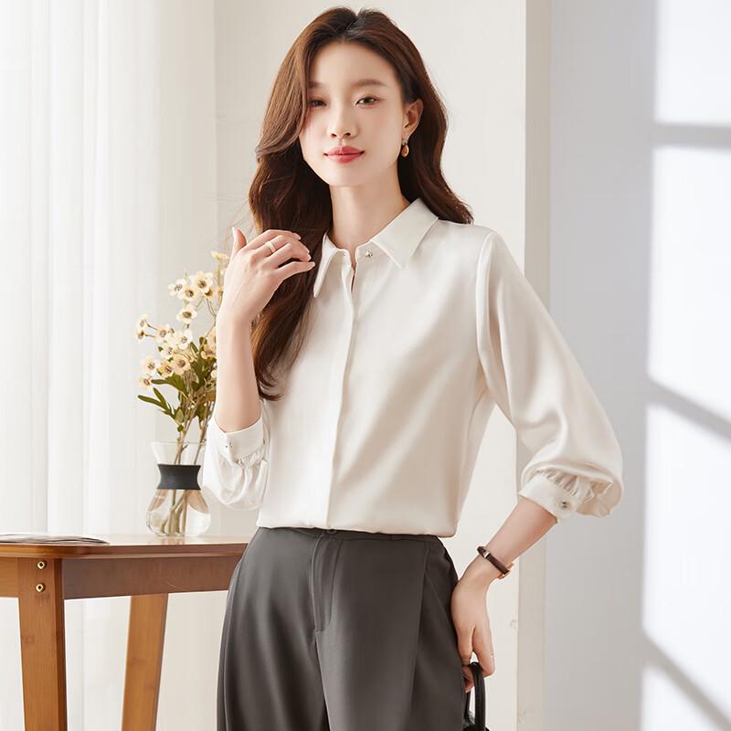 Women s Elegant Faux Acetate Long-Sleeve Chiffon Blouse 2XL