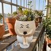 Cartoon Flower Planter Resin Plant Cultivation Pot Table Decor Plant Growing Container  Office