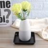 Plastic Flower Pot Drip Trays 2pcs Red Mini Fleshy Plants Receiving Plate for Home Garden Yard  Indoor Plants Water