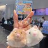 Bean Bag Fluffy Mouse Keychain Bag Charm Rat Plush Doll Soft Fabric Hamster Pendant  Kids Toy