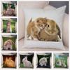 Cute Rabbit  Cushion Cover Pillowcase  Sofa Car Home Decor Pet Animal  Polyester