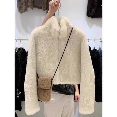 Warm and Cozy Korean Style Fur Coat with Stand Collar for  Women In Winter