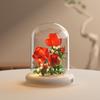 City Creativity Potted Plant Tulip Lily Gardenia Rose Micro Building Blocks Bricks Model Home Decoration Toy For Kids