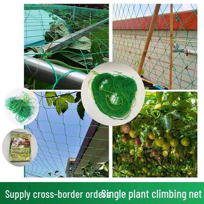 Green Plant Climbing Net: Reinforced Edge Nylon Vine Support for Melons, Grapes, Morning Glory, and Beans