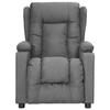 VidaXL Fauteuil Inclinable, Chaise avec Dossier et Repose-pied Réglables, Siège de Salle de Séjour Salon Intérieur, Gris 339048