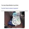 Roof Cargo Suitcase & Travel Clothesline with Mesh Pocket for Outdoor and Off-road Tours