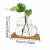 Transparent Hydroponic Glass Vase Decorative Tabletop Plant Vase Mini Terrarium  Desktop Decoration
