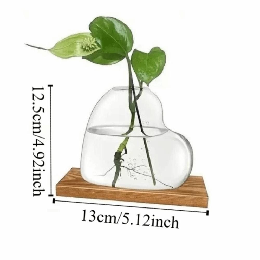 Transparent Hydroponic Glass Vase Decorative Tabletop Plant Vase Mini Terrarium Desktop Decoration