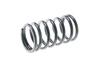 Internal Valve Spring C-385