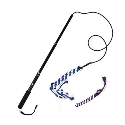 Dingdong Pet Tug Pole Dog Toy 42cm, Blue, Purple, 1 Set