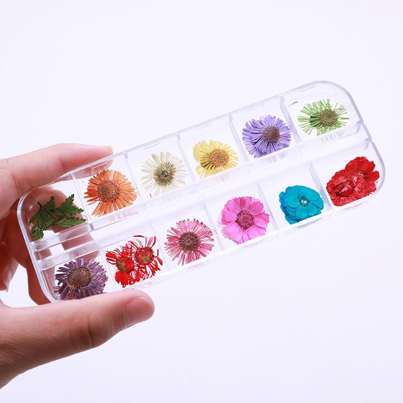 1Box Dried Flowers Dry Plants for Rsein Molds Fillings Epoxy Resin Pendant Tweezers Jewelry Making Craft DIY Nail Art Decoration