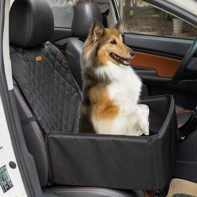 Transporte e armazenamento – Transporte de animais