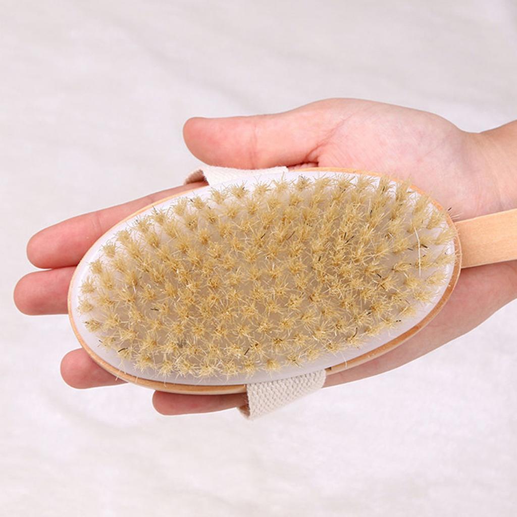 Bath Body Brush Back Scrubber with Comfy Bristle Long Handle Gentle Body Massager Wet or Dry Brushing Back Scrubber for