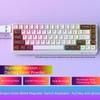 Low Noise USB Wired Keyboard 8K Return Hot Swap 0.01mm RT Custom RGB 65% Layout Size E-Sports Mechanical Gaming Keyboard