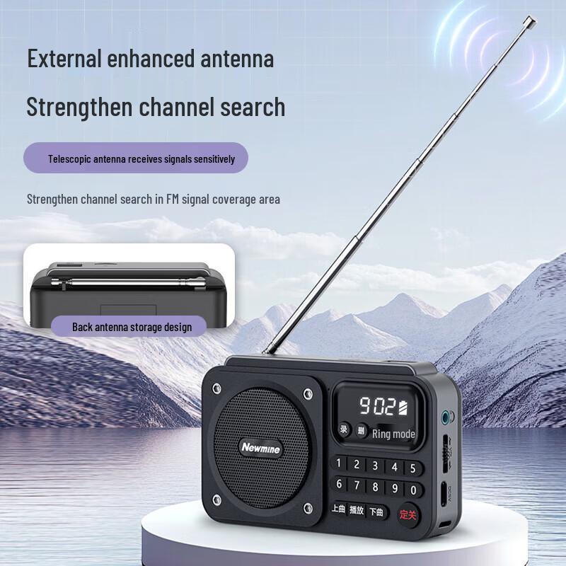 Newman N123 Multifunction Bluetooth Radio CN Plug (adapter Included)
