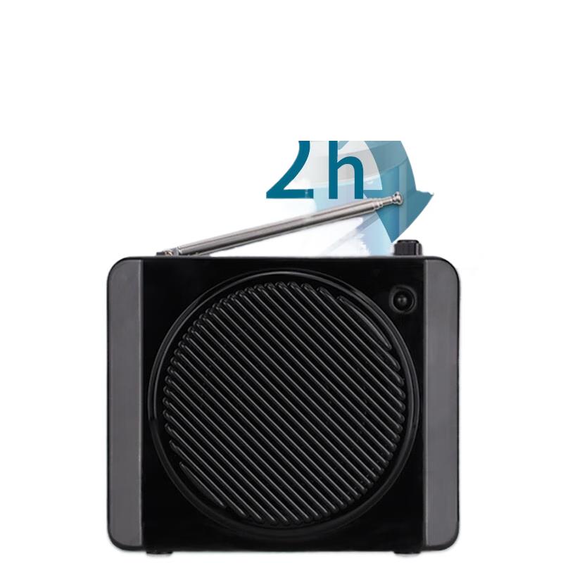 

DESHUN Little Bee Wireless Portable Voice Amplifier