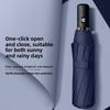 Modern Minimalist Automatic Folding Umbrella Windproof Rainproof For Adults