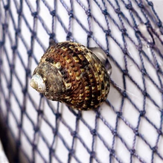 Dom Dom Ozdoba Wyposażenie Rzemiosło Morskie Dekoracja latarni morskiej