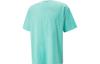 T-Shirts Men's Aqua Green Crew Neck Moderate Straight Fit 621703-01