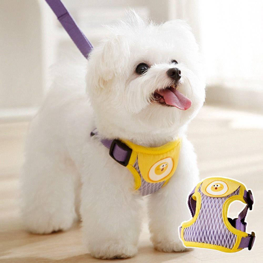 

Breathable Dog Harness Leash Outdoor Pet Supplies Medium Pet Chest Straps Teddy
