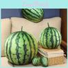 Plush Watermelon 3d Toy Fruit Stuffed Doll Cartoon Bedroom Decoration Gift Kids