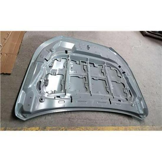 Foton Hood Assembly - Electrophoresis P1660.