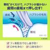 Clear Clean Toothpaste Natural Mint 170g3 Pieces + Tooth Powder Included Quasi-drug