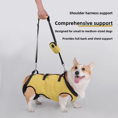 Pet-assisted Rehabilitation Exercise for Disabled Dogs. Adjustable Dog Leashes for The Dog's Chest and Back