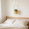 Minimalists Golden Hanging Planter With Adjustable Chain Corrosions Resistant for Home Office Decoration