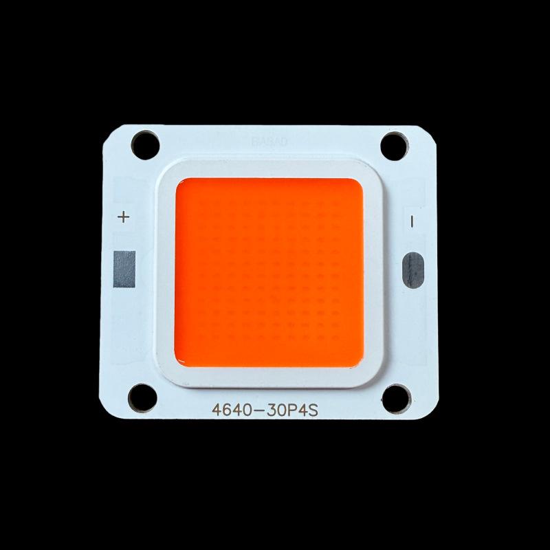 12V 50W Driver-Free COB LED Light Board, Warm White High-Brightness Light Chip.