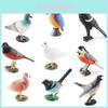 Lifelike Pvc Bird Statues Including Dove Magpie And Cuckoo For Beautiful Tabletop Display