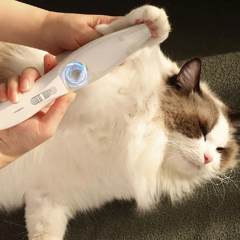 Rechargeable USB Electric Dog Groomer 2-in-1 Hair Suction Pet Shaver Low Noise Dog Paw Trimmer Cat Ear Trimmer