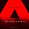 The Scarlet Letter by Nathaniel Hawthorne Paperback Book 9780008296520