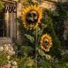 Fun Halloween Garden Accessory Sunflower Skull Ornament, Theme Decor, Potted Outdoor Spooky Planter Plant Waterproof Decoration, for Lawn