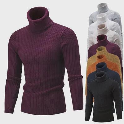 Autumn & Winter Casual Knitted Turtleneck Pullover Sweater