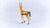 Schleich Wildlife Gazelle 14861 Thomson's