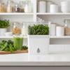 Large Capacity Vegetable Keeper Plastic Herb Lettuce Keeper  Prolongs Produce Life