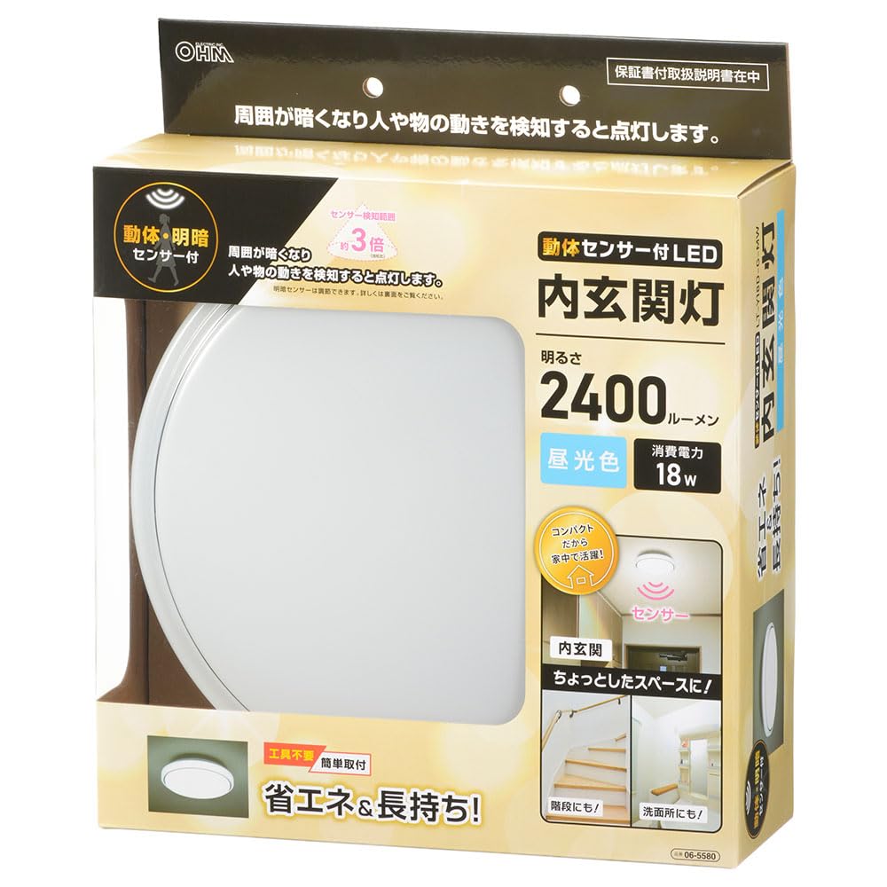 OHM LED Interior Entrance Light with Motion Sensor, Daylight | OHM Electric LT-Y18D-G-MW 06-5580