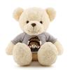 Bear Teddy Sweater Plush Toy Cartoon Stuffed Doll Decoration Kids Gifts Cute