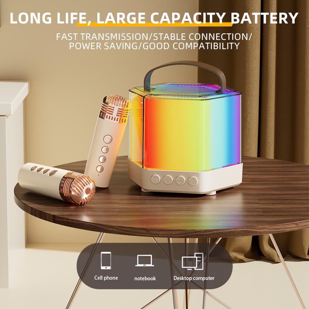 Karaoke Machine Mini Wireless Microphone and Speaker Set with 2 Microphone RGB Color Light Handheld
