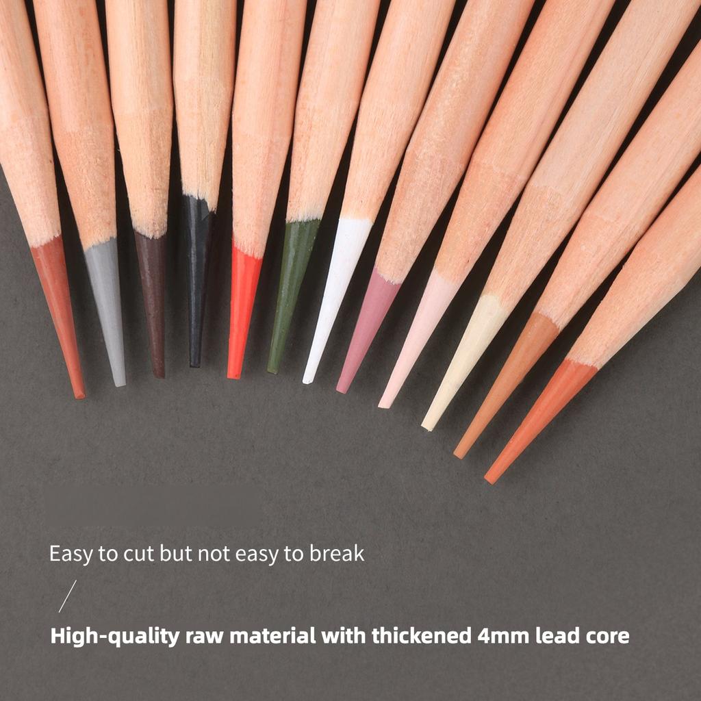 6 pcs/12pcs Set of Sketching Art Students Charcoal Pencils in log Matte Finish for Drawing, Sketching and Shading