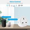 Graffiti Smart WiFi Socket 16A with Power Measurement, AI Voice & Mobile Control, UK Plug