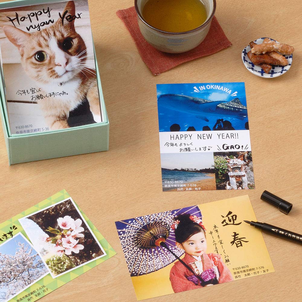 Kuretake Brush Oil-Based Pen, Twin, Black, TSA-010S