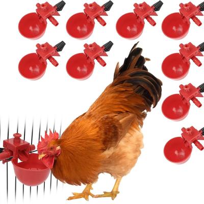ציפורים – כלי אוכל ושתייה לציפורים
