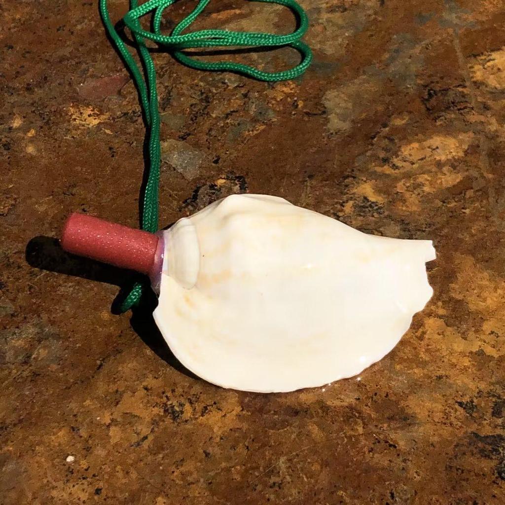 Street Stall Conch Shell Whistles & Toys: Creative Souvenirs