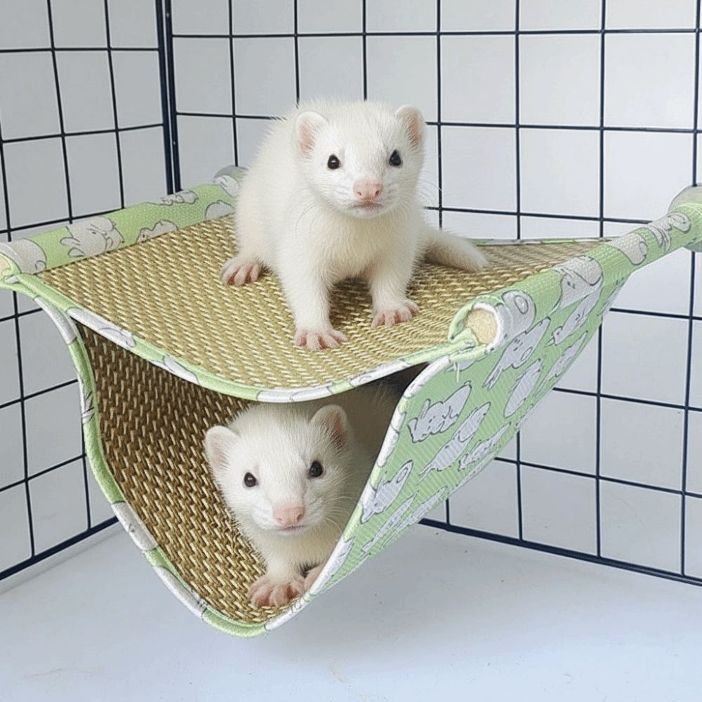 Double Layered Pet Hammock Cool Mat Hamster Jumping Platform Pet Supplies Hanging Nest  Summer