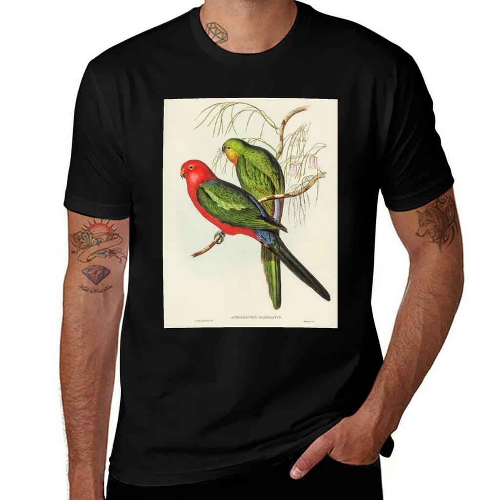 shirts John white for T-Shirt shirts t t man King man Parrot Gould pack cotton pack for